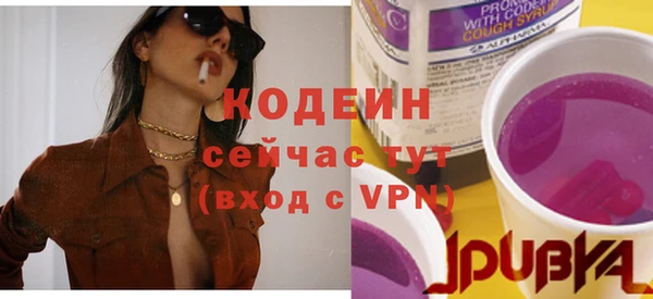 дурь Дмитровск