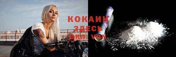 дурь Дмитровск