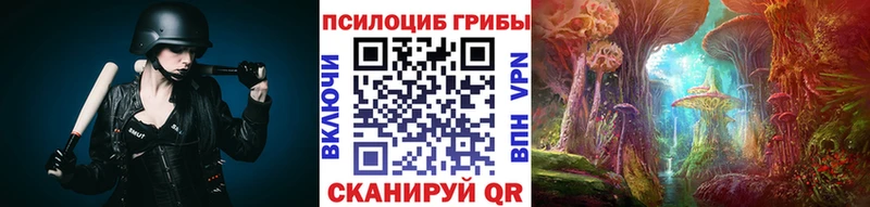 mega сайт  Дубовка  Псилоцибиновые грибы GOLDEN TEACHER 